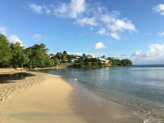 Nouveau Domaine De Mabouya Vue Mer Et Proximite Plage Sainte-Luce Exterior foto